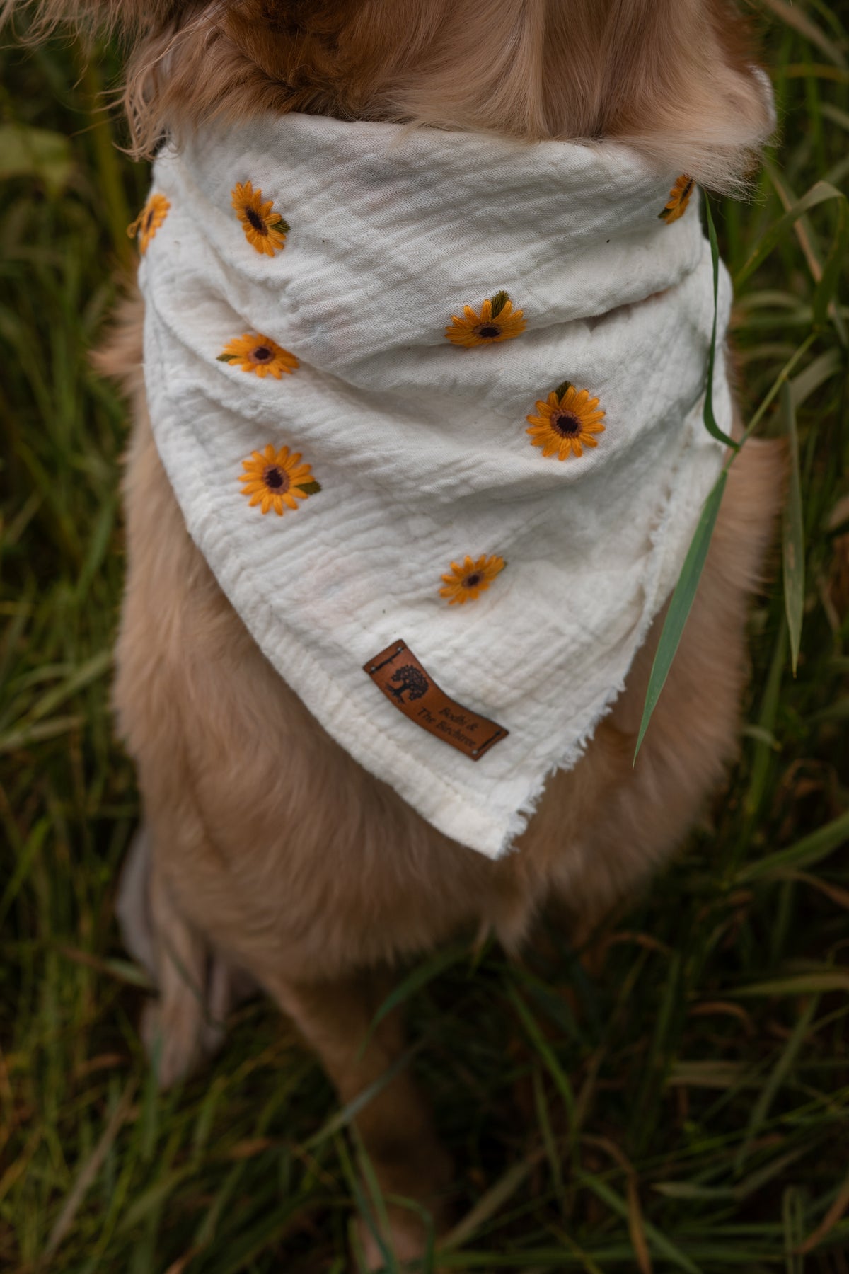 Sunflower Bandana