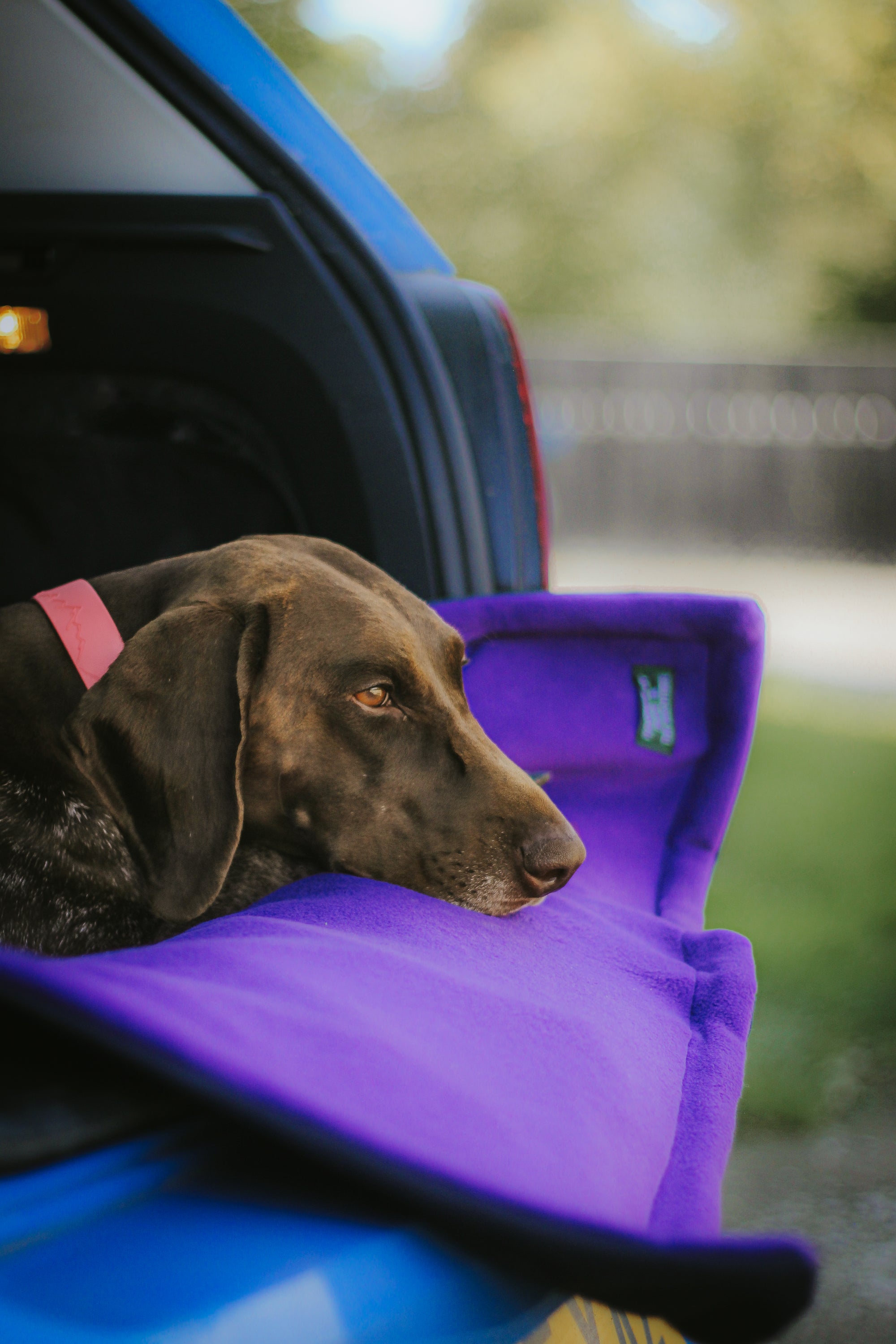 Bodhi & The Birchtree Purple & Navy Boot Blanket - Bodhi & The Birchtree