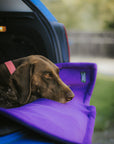 Bodhi & The Birchtree Purple & Navy Boot Blanket - Bodhi & The Birchtree