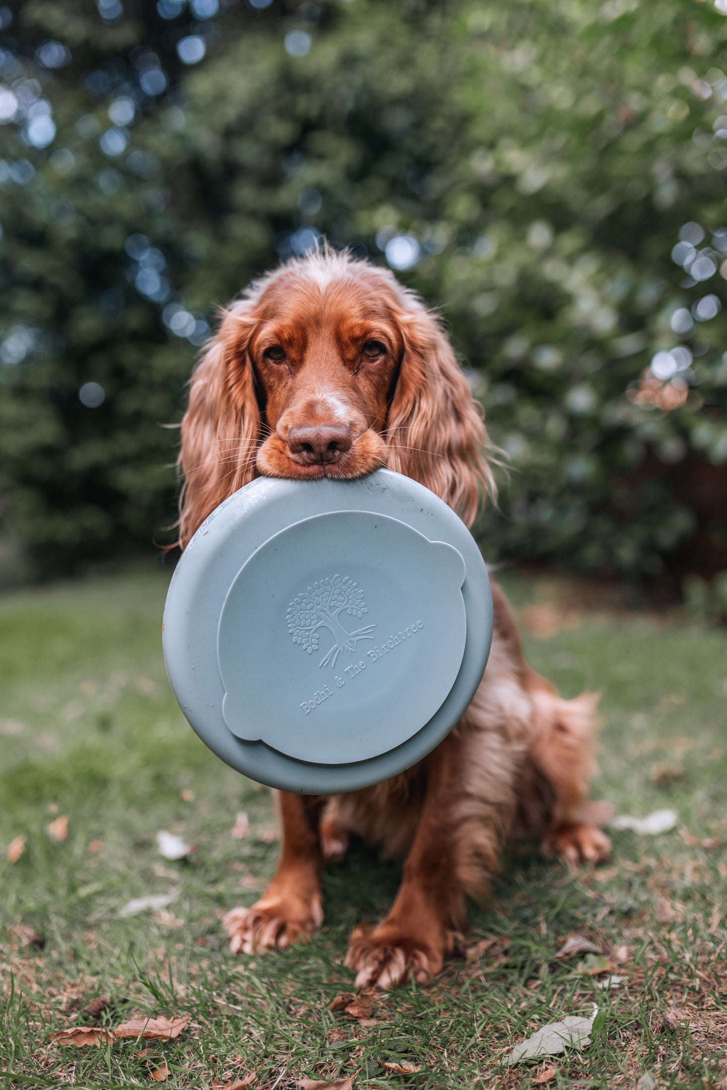 Bodhi & The Birchtree The Evergreen Collection - Alpine Slow Feeder Bowl