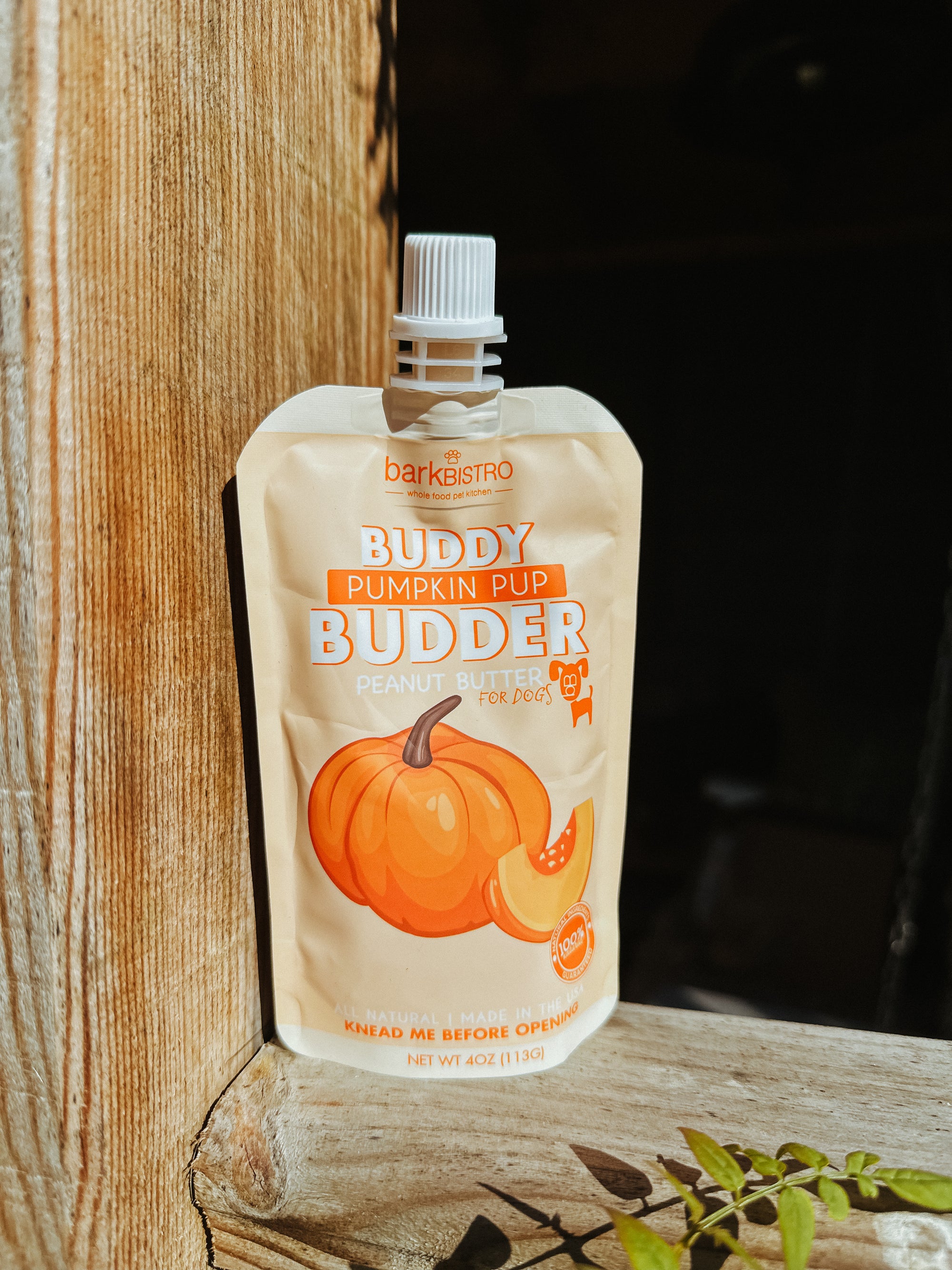 Buddy Budder Squeeze Pack - Pumpkin Pup Budder - Bodhi & The Birchtree