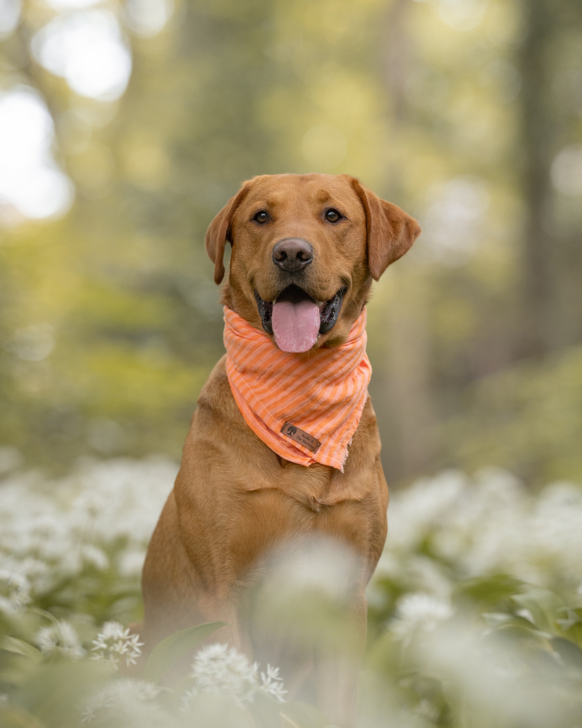 Peach Stripe Summer Cooling Bandana - Bodhi & The Birchtree