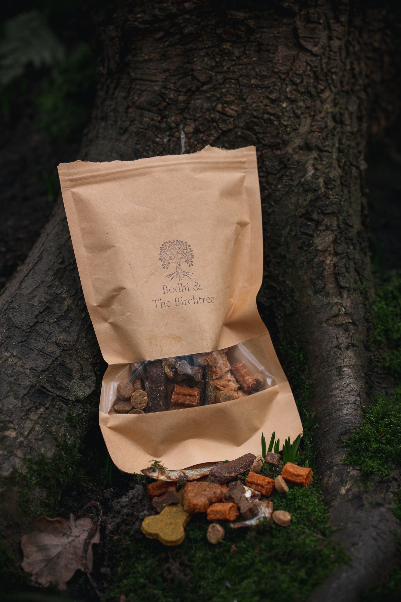 Treat Pick n’ Mix - Bodhi & The Birchtree