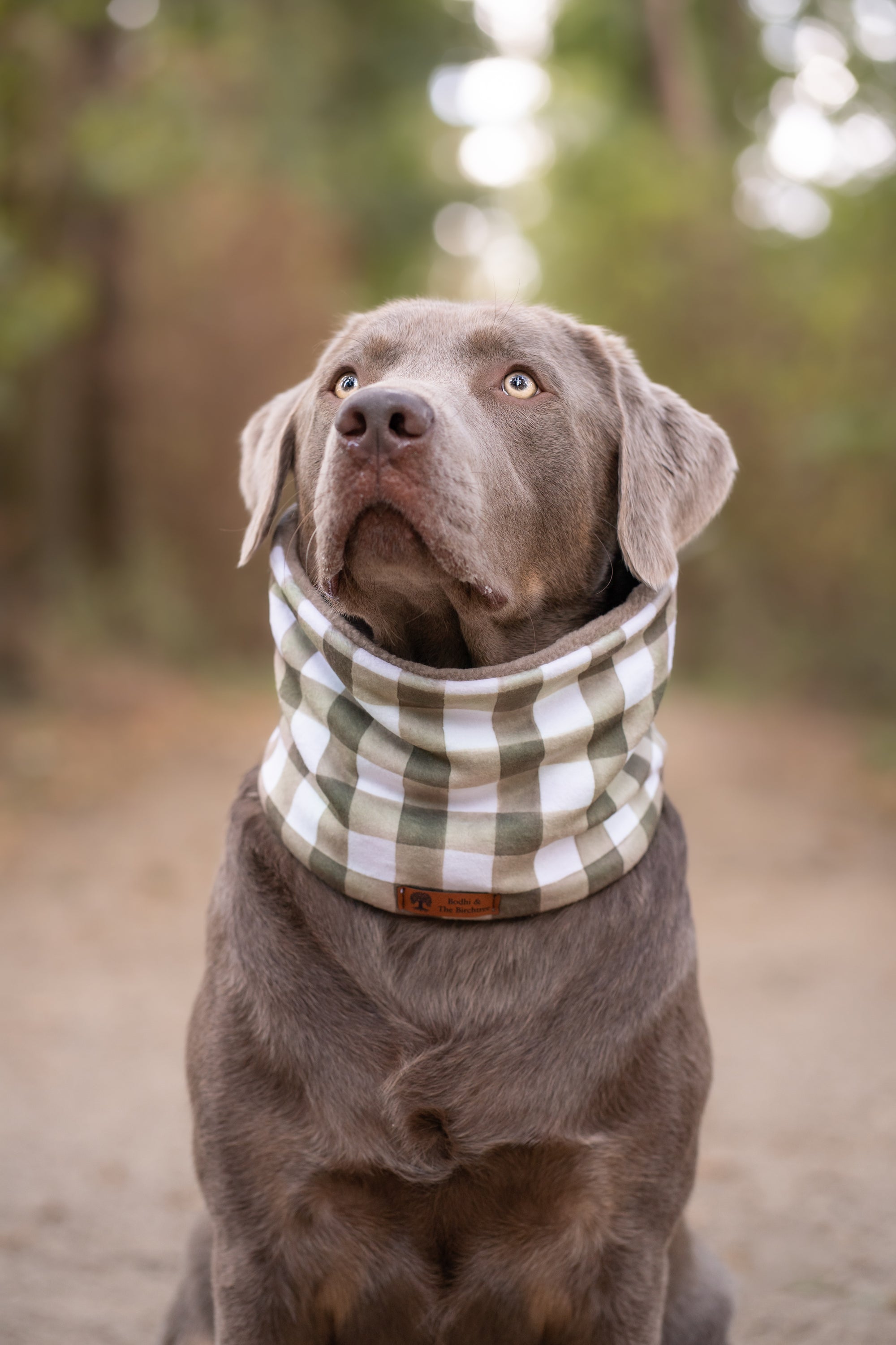 Buffalo Check & Dark Camel Polar Fleece Snood - Bodhi & The Birchtree