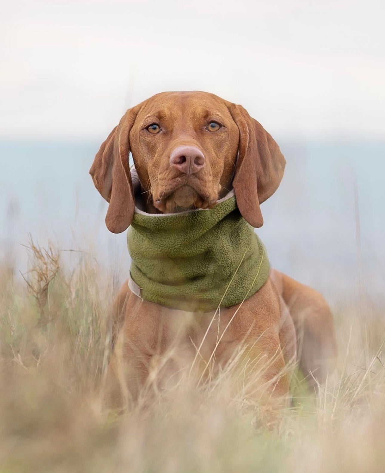 Bodhi & The Birchtree Moss Green Polar Fleece Snood - Bodhi & The Birchtree