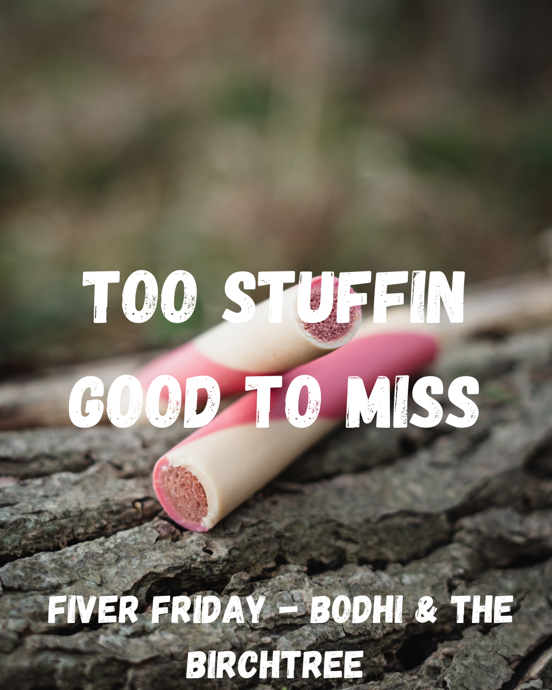 Too Stuffin’ Good To Miss - Fiver Friday - Bodhi & The Birchtree