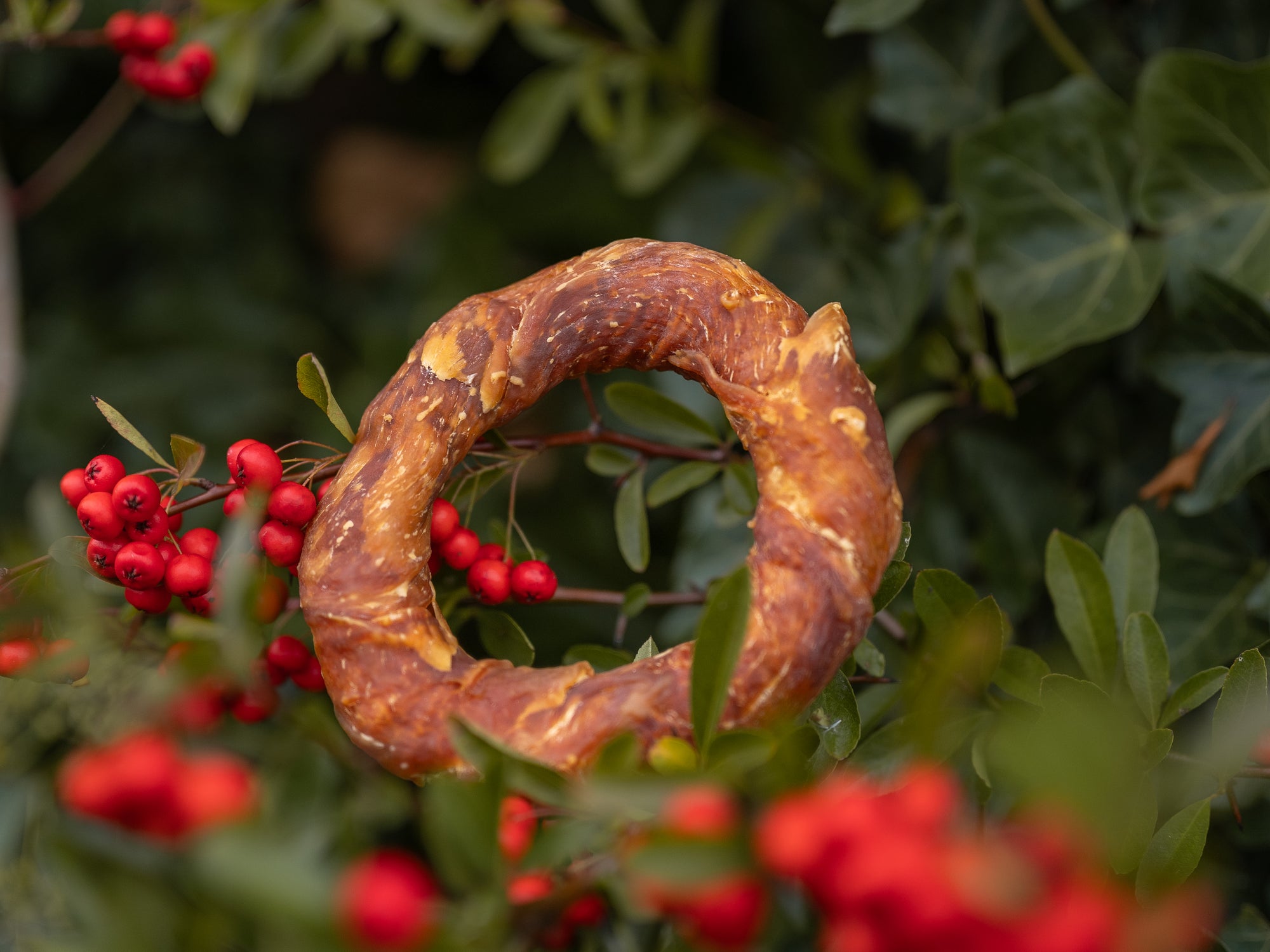 Festive Turkey & Chicken Wreaths - Bodhi & The Birchtree