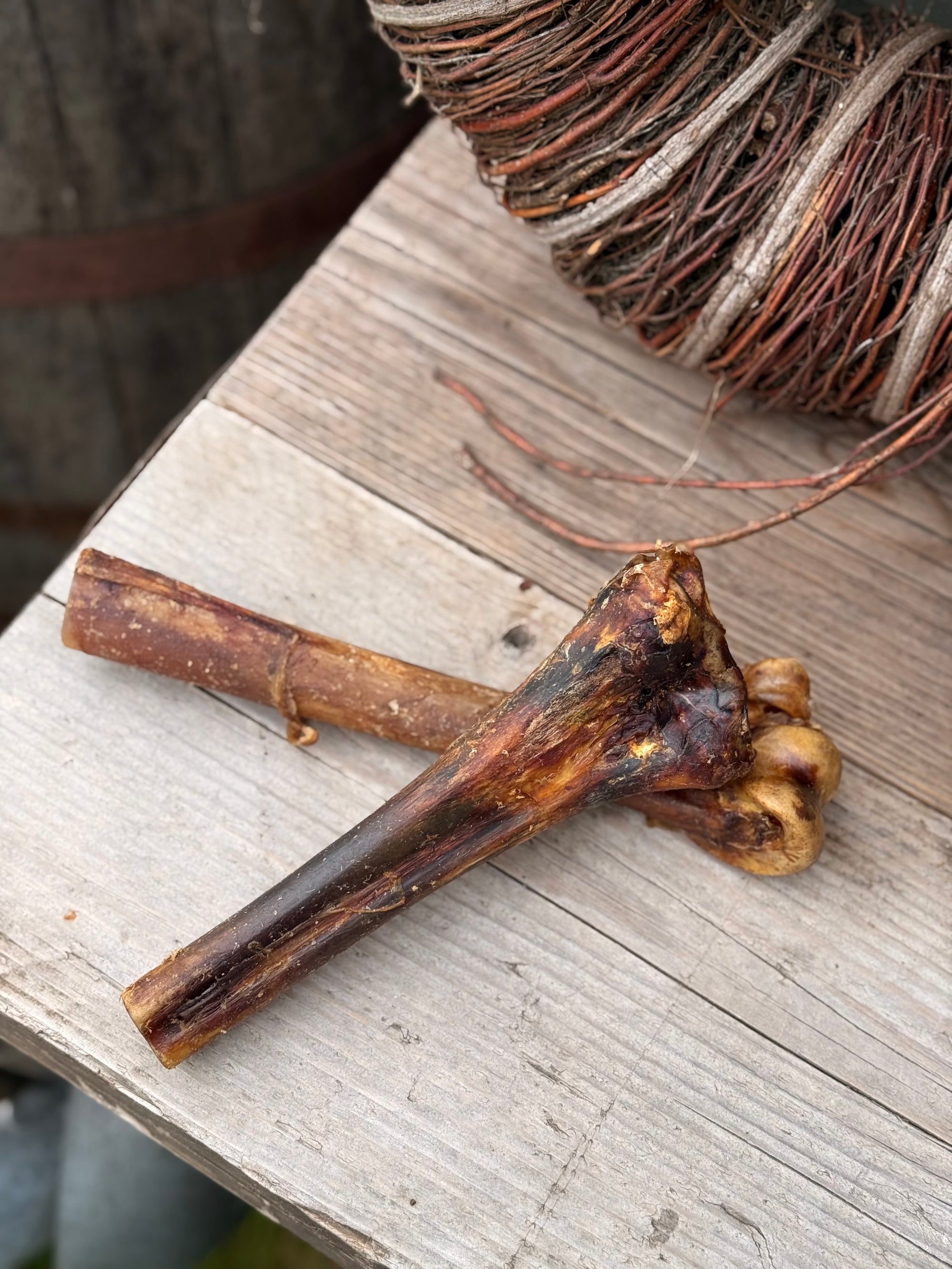 Ostrich Bone
