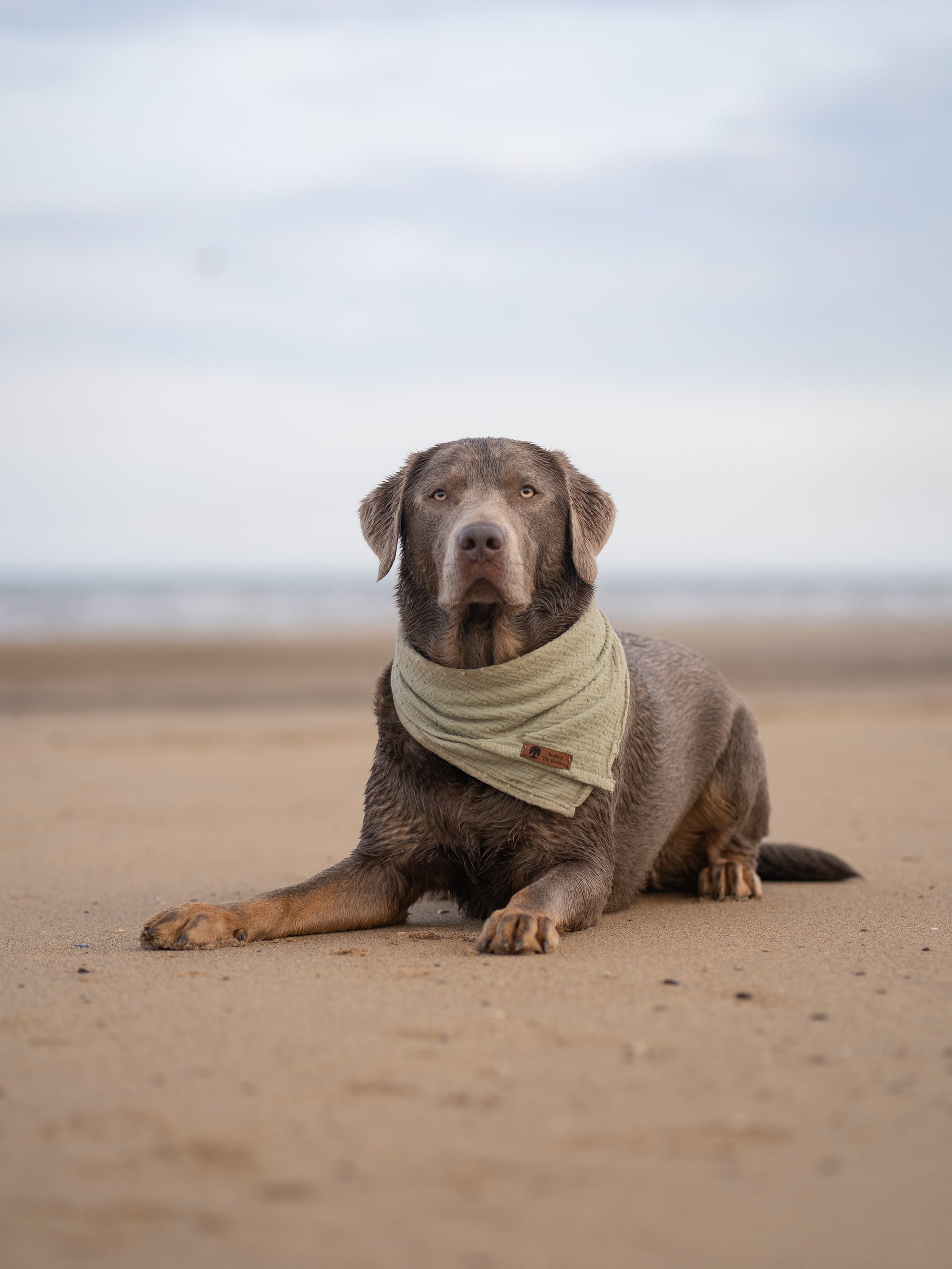 Olive Green Summer Cooling Bandana - Bodhi & The Birchtree