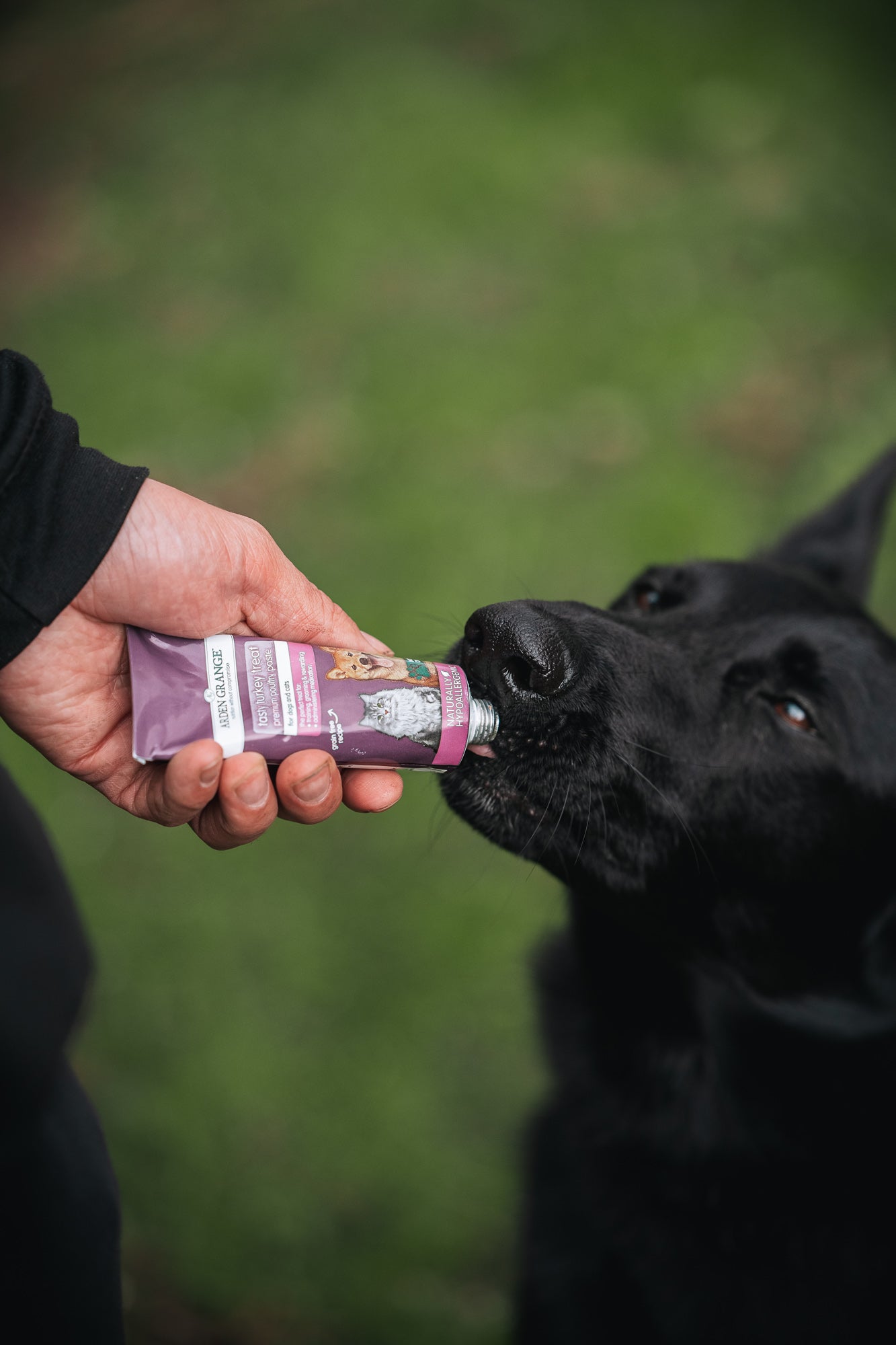 Arden Grange Tasty Turkey Treat - Bodhi & The Birchtree