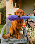 Zippy Paws Jigglerz Eggplant Toy - Bodhi & The Birchtree