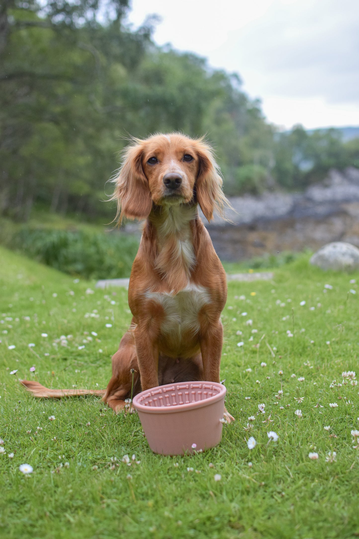 Slow Feed Yoghurt Pot In Pink - Bodhi & The Birchtree