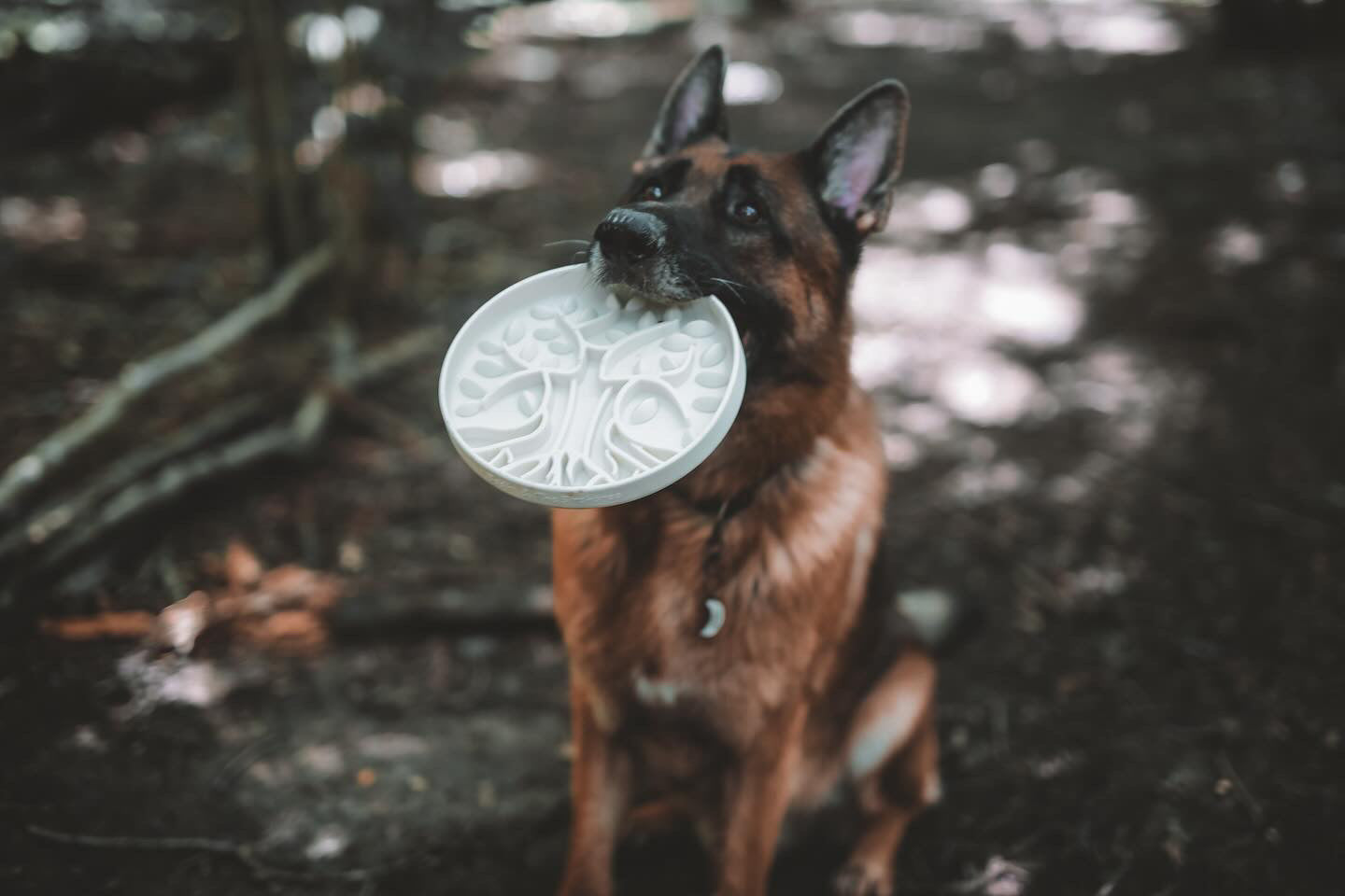 Bodhi & The Birchtree The Evergreen Collection - Elderflower Slow Feeder Bowl