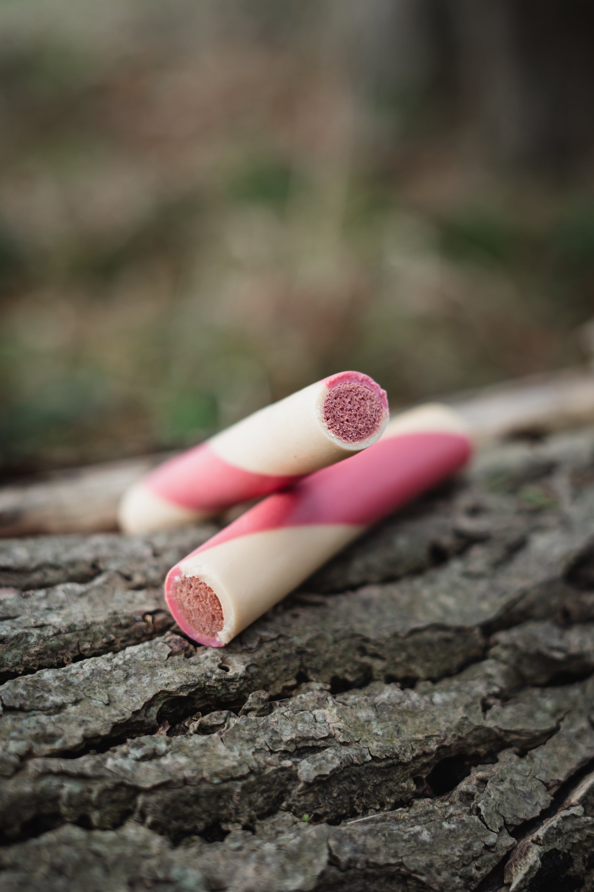 Strawberry & Coconut Thick Veggie Sticks - Bodhi & The Birchtree