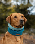 ‘The Alester’ Petrol & Sage Polar Fleece Snood