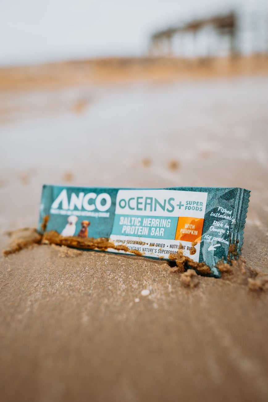 Anco Oceans + Protein Bar 25g - Bodhi & The Birchtree