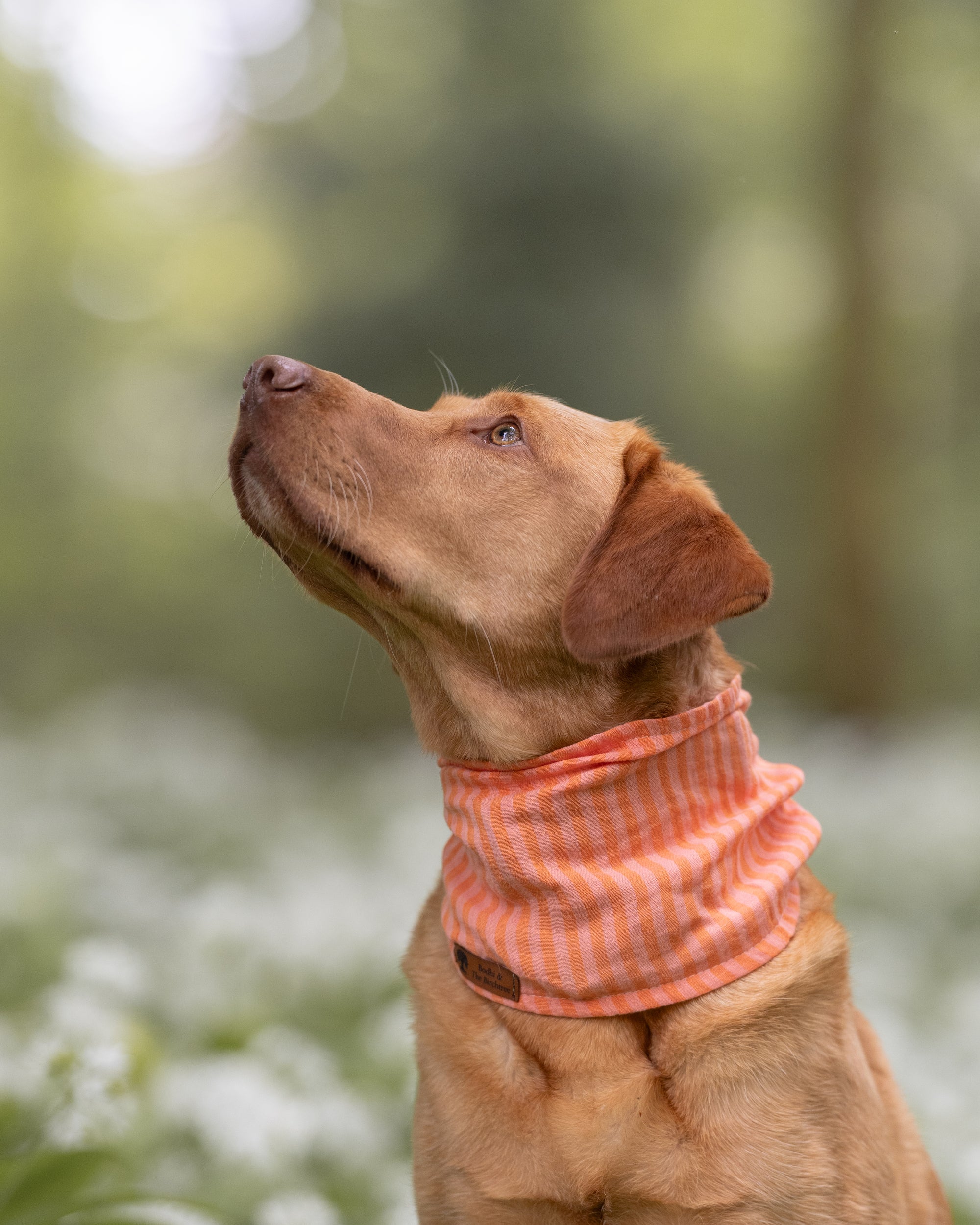 Peach Stripe Summer Cooling Snood - Bodhi & The Birchtree