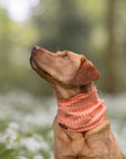 Peach Stripe Summer Cooling Snood - Bodhi & The Birchtree