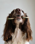 Veggie Fruit Twists x5 - Bodhi & The Birchtree