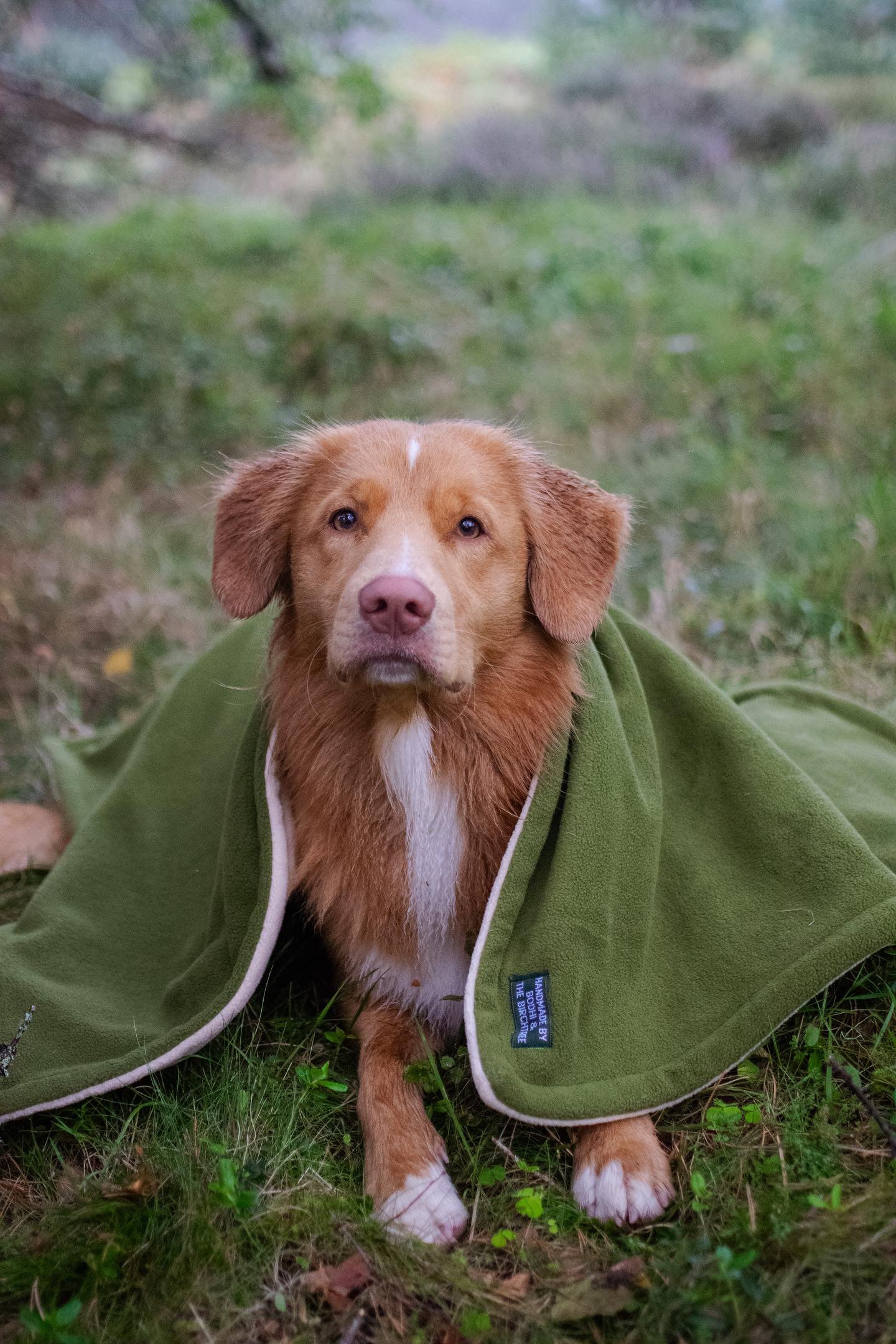 Bodhi &amp; The Birchtree Moss Green Polar Fleece Blanket - Bodhi &amp; The Birchtree