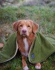 Bodhi & The Birchtree Moss Green Polar Fleece Blanket - Bodhi & The Birchtree