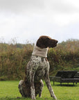 Bodhi & The Birchtree ‘The Neutrals’ - Polar Fleece Snoods