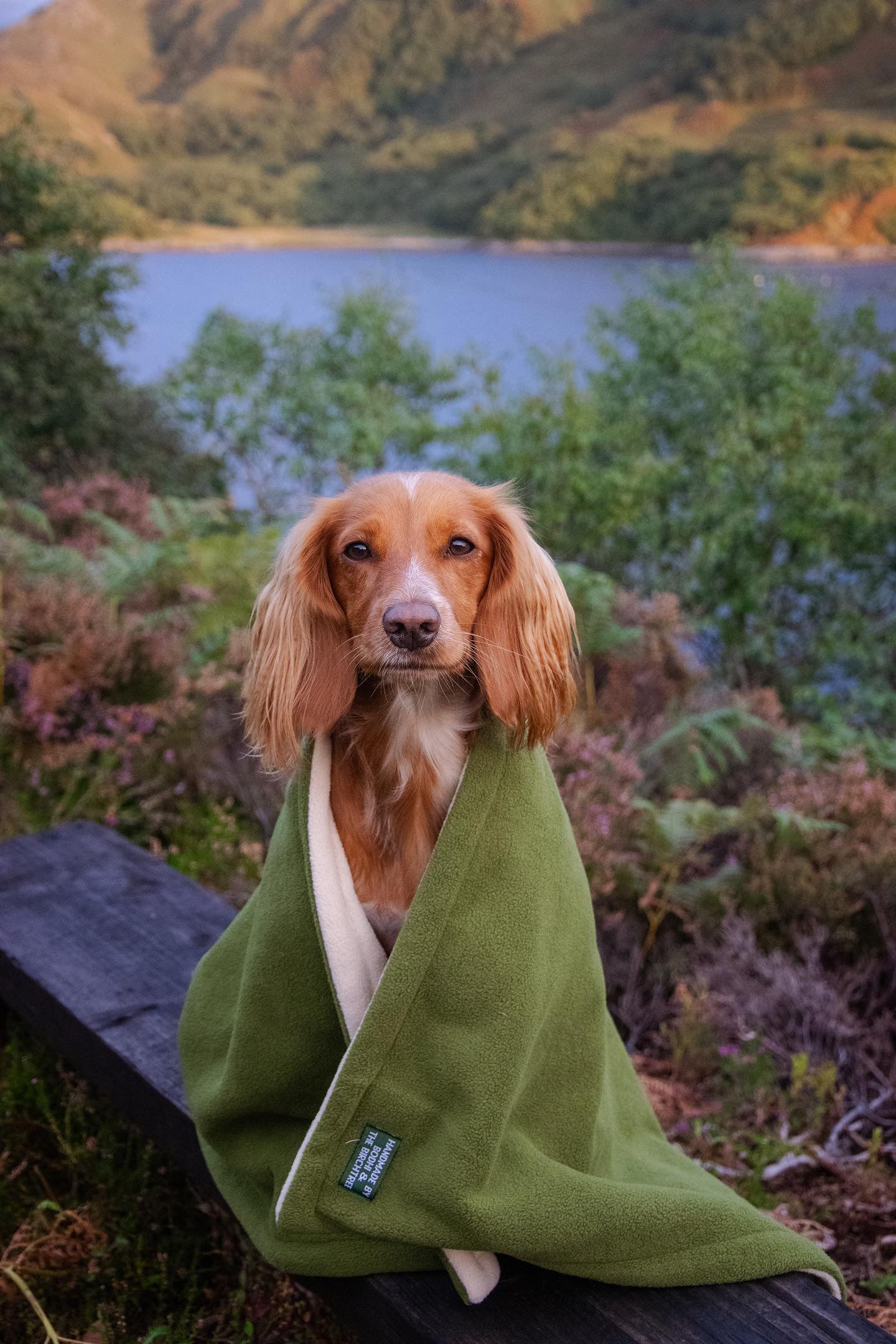 Bodhi &amp; The Birchtree Moss Green Polar Fleece Blanket - Bodhi &amp; The Birchtree