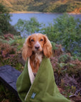 Bodhi & The Birchtree Moss Green Polar Fleece Blanket - Bodhi & The Birchtree