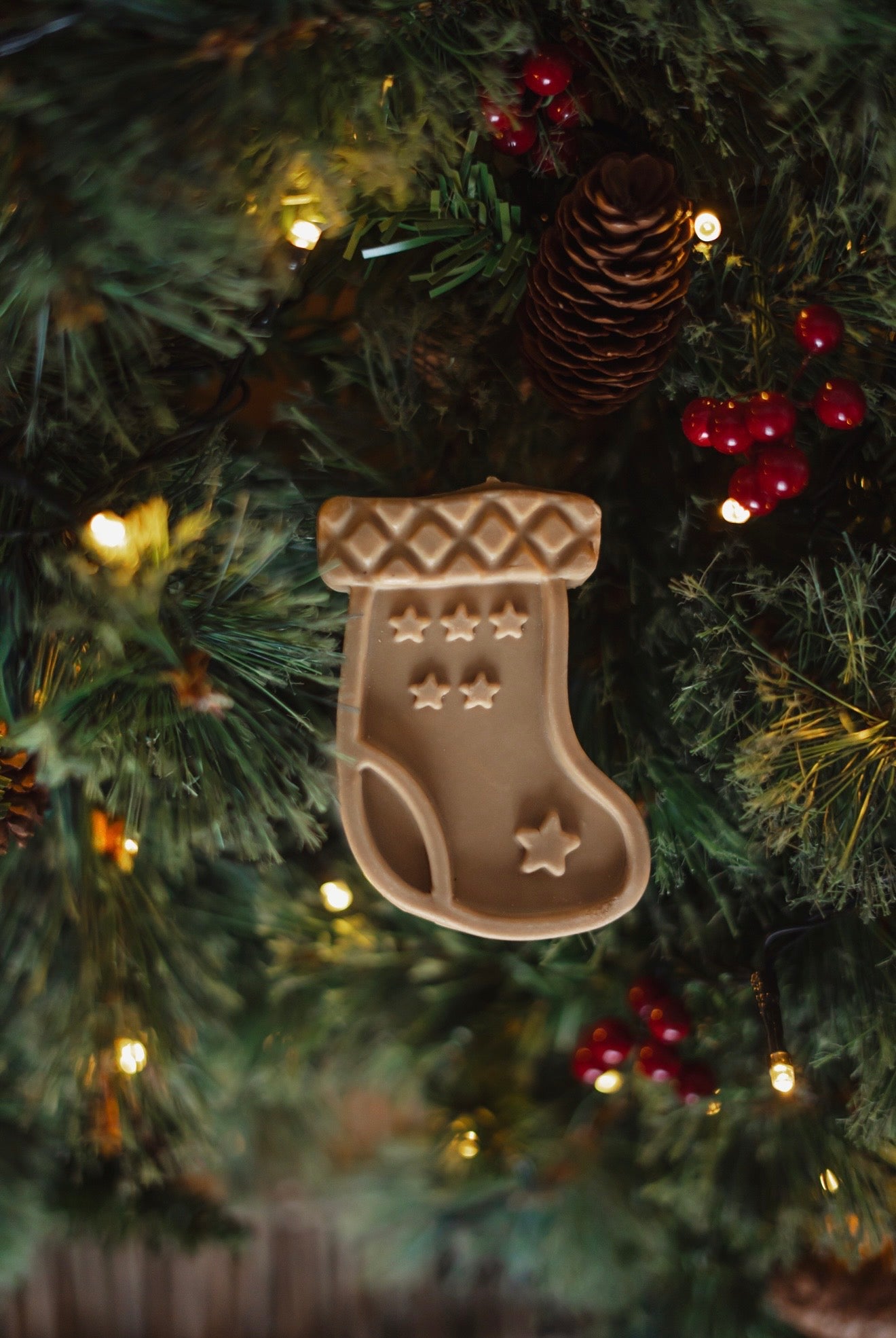 Festive Stocking Veggie Chew - Bodhi & The Birchtree