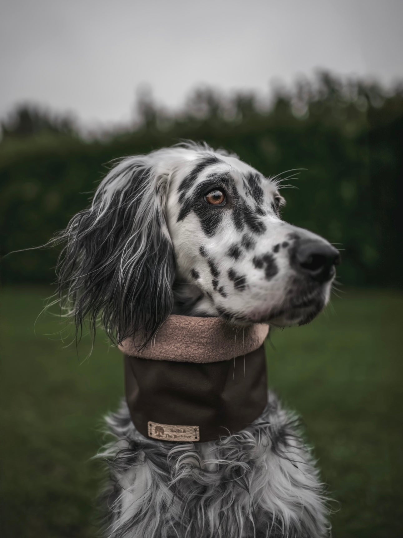 Bodhi & The Birchtree Chocolate & Mushroom Waterproof & Polar Fleece Snood - Bodhi & The Birchtree