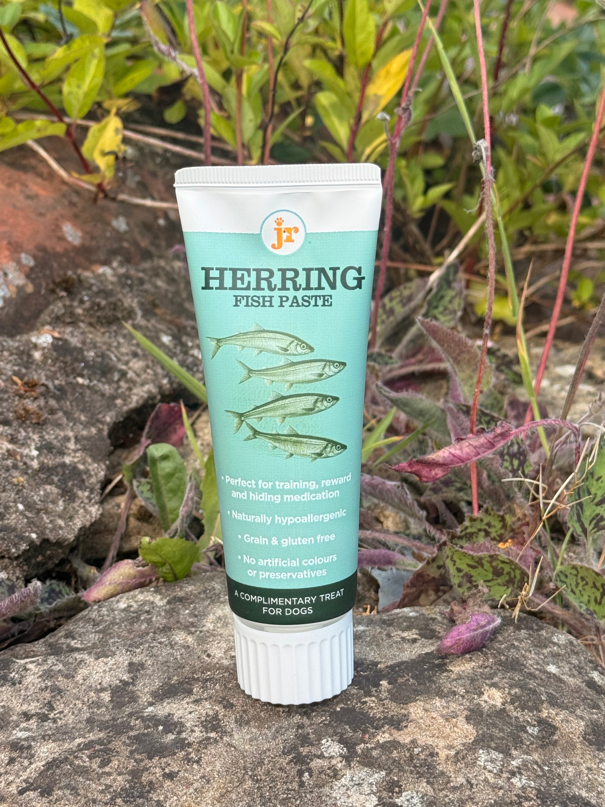 JR Herring Paste
