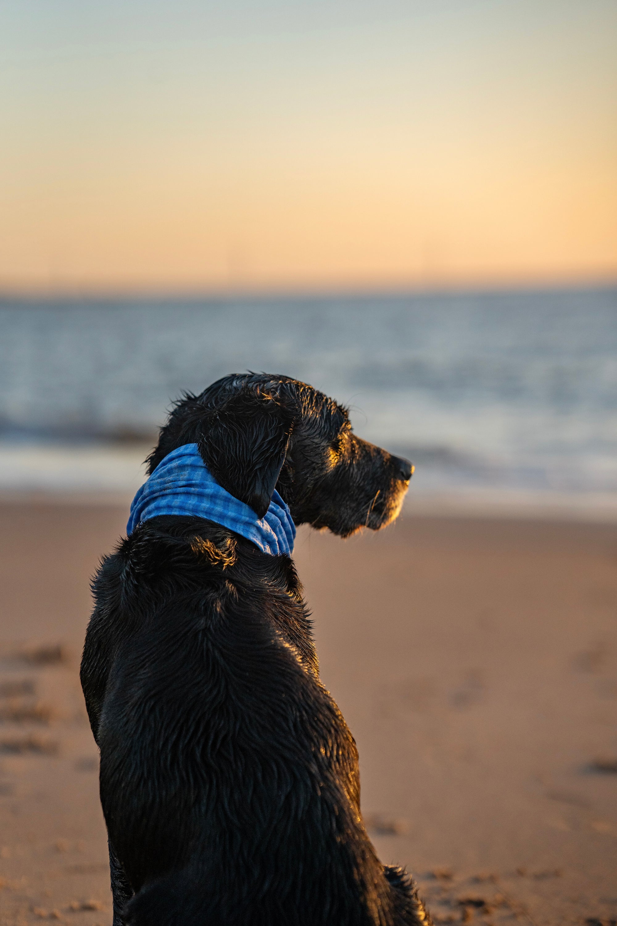 Blue Sky Summer Cooling Snood - Bodhi & The Birchtree