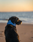 Blue Sky Summer Cooling Snood - Bodhi & The Birchtree