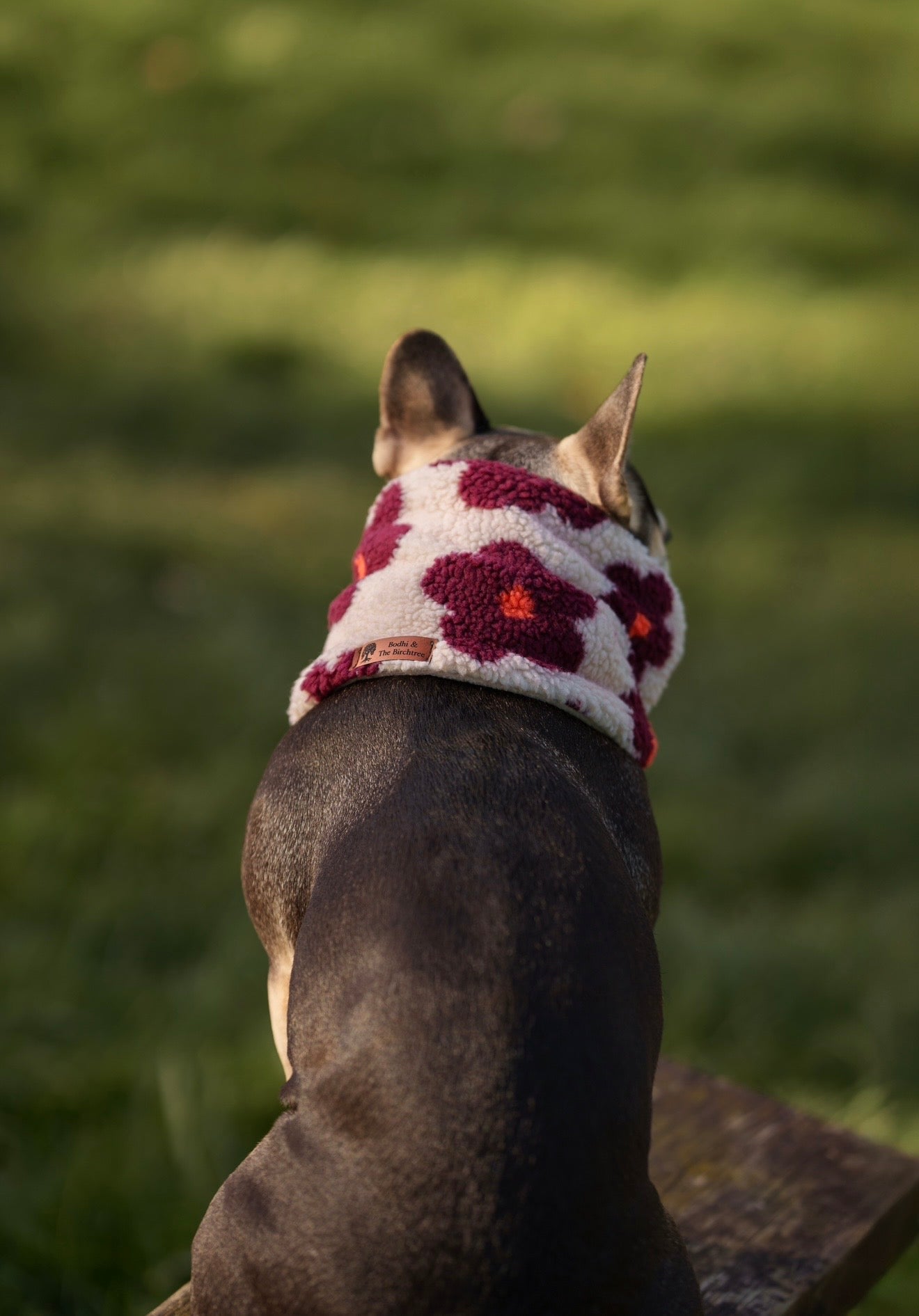 Teddy Fleece Vibrant Flowers Snood - Beige - Bodhi & The Birchtree