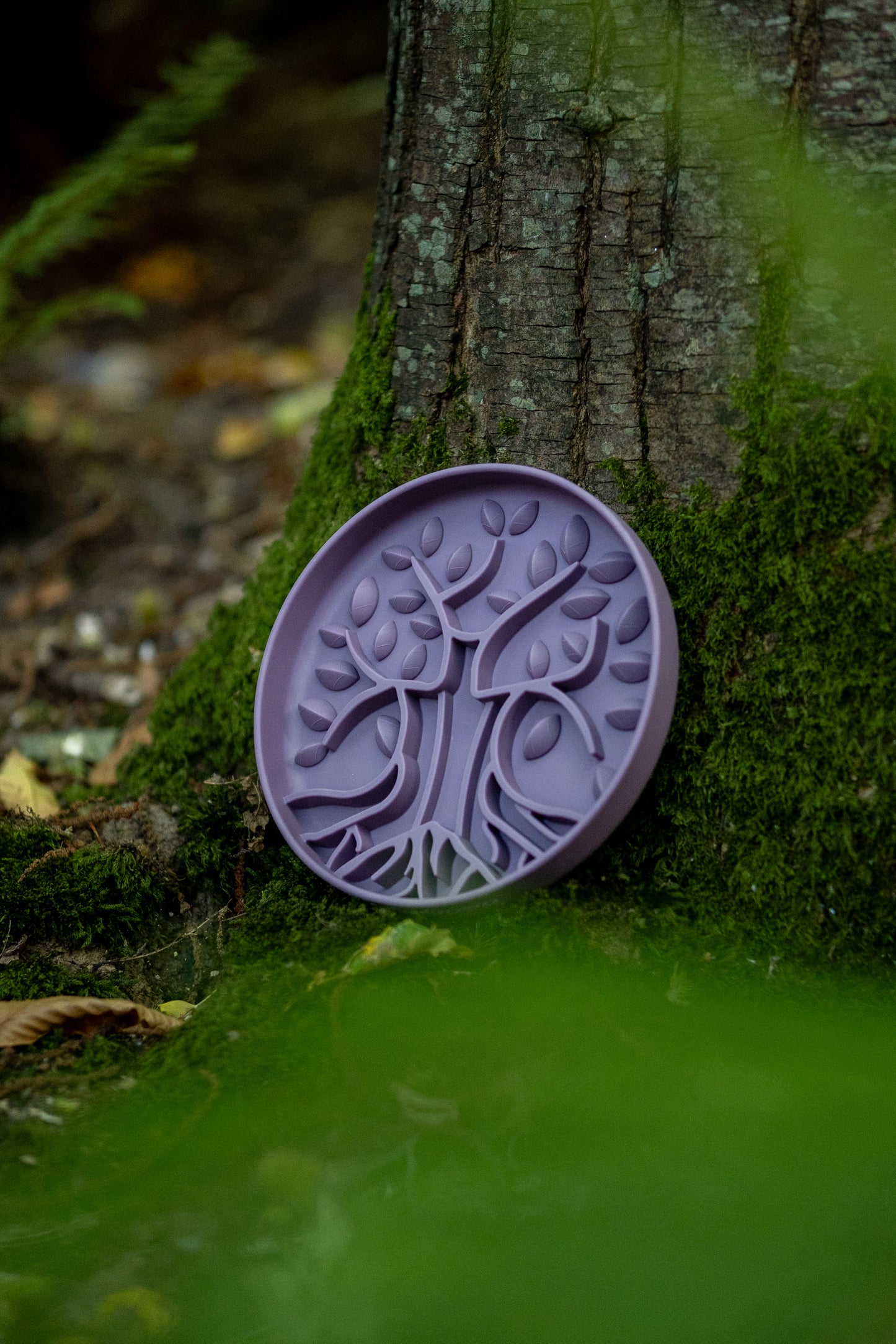 Bodhi & The Birchtree The Evergreen Collection - Damson Slow Feeder Bowl