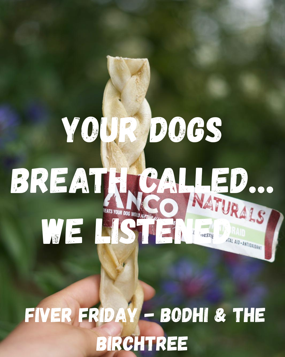 Your Dogs Breath Called…We Listened - 4 Mint Braids - Fiver Friday - Bodhi & The Birchtree