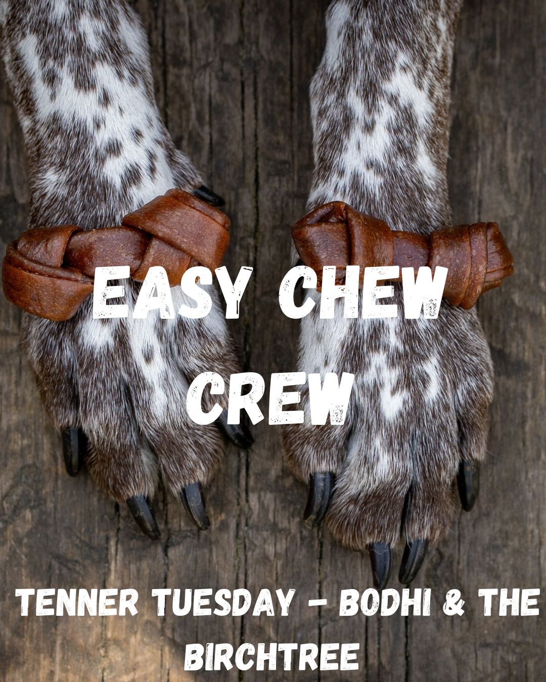 Easy Chew Crew - Fiver Friday - Bodhi & The Birchtree