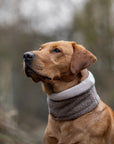 PRE ORDER - Teddy Fleece Snood - Taupe