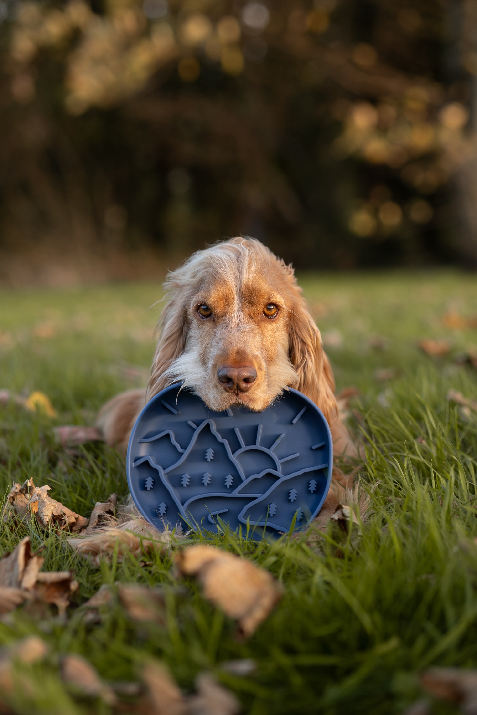 Mountain Slow Feeder Bowl In Midnight - Bodhi & The Birchtree