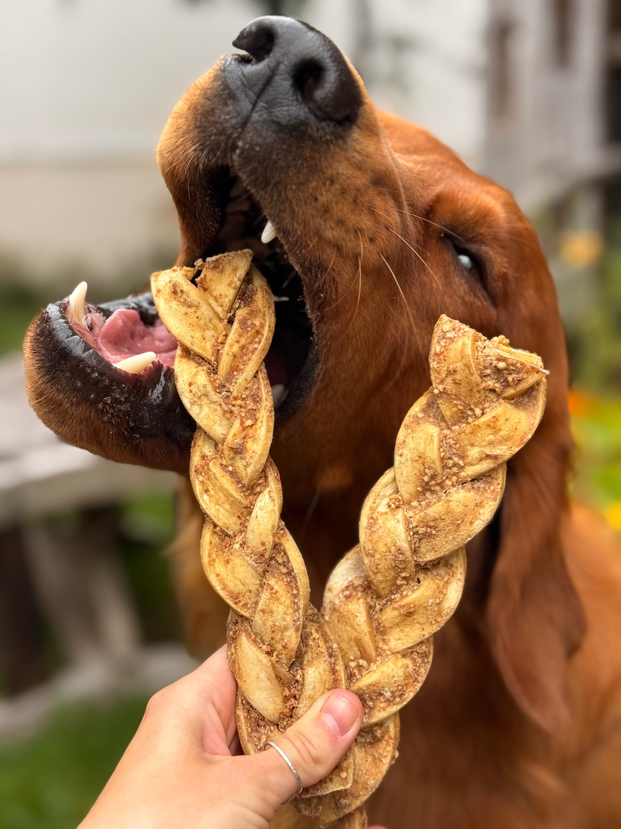 Peanut Butter Braid