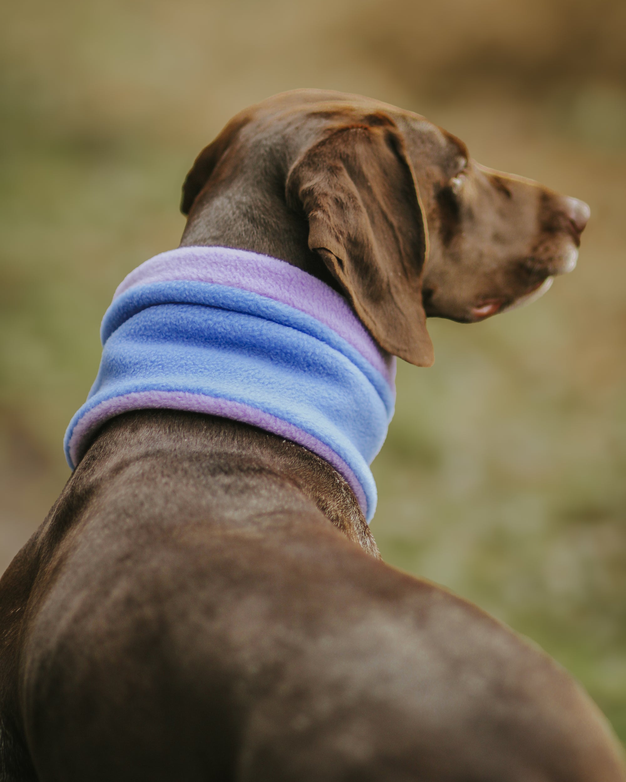 Limited Edition ‘The Nellie’ Dark Sky &amp; Lilac Polar Fleece Snood - Bodhi &amp; The Birchtree