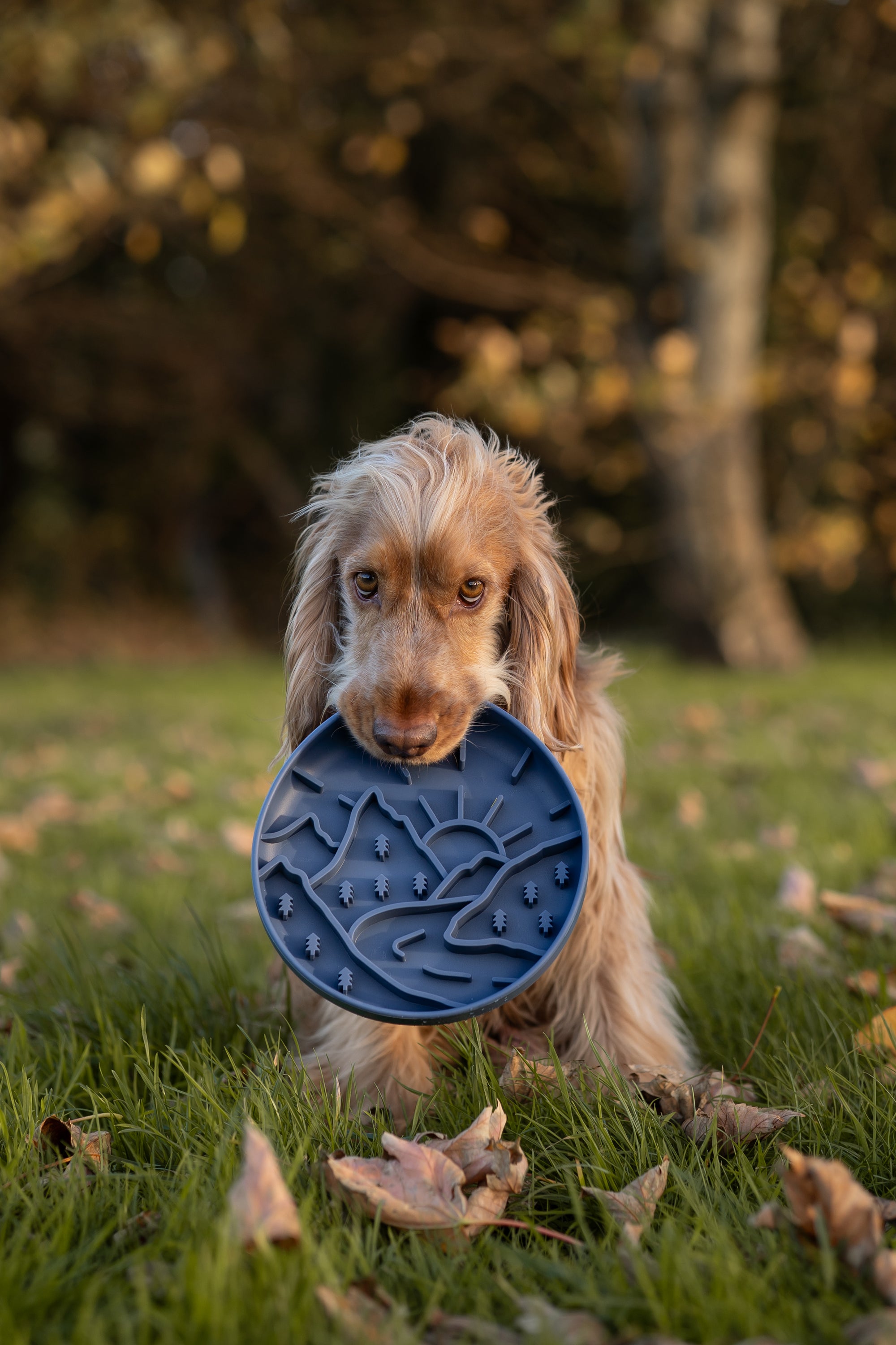 Mountain Slow Feeder Bowl In Midnight - Bodhi & The Birchtree
