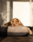 Bodhi & The Birchtree Polar Fleece & Waterproof Dog Bed