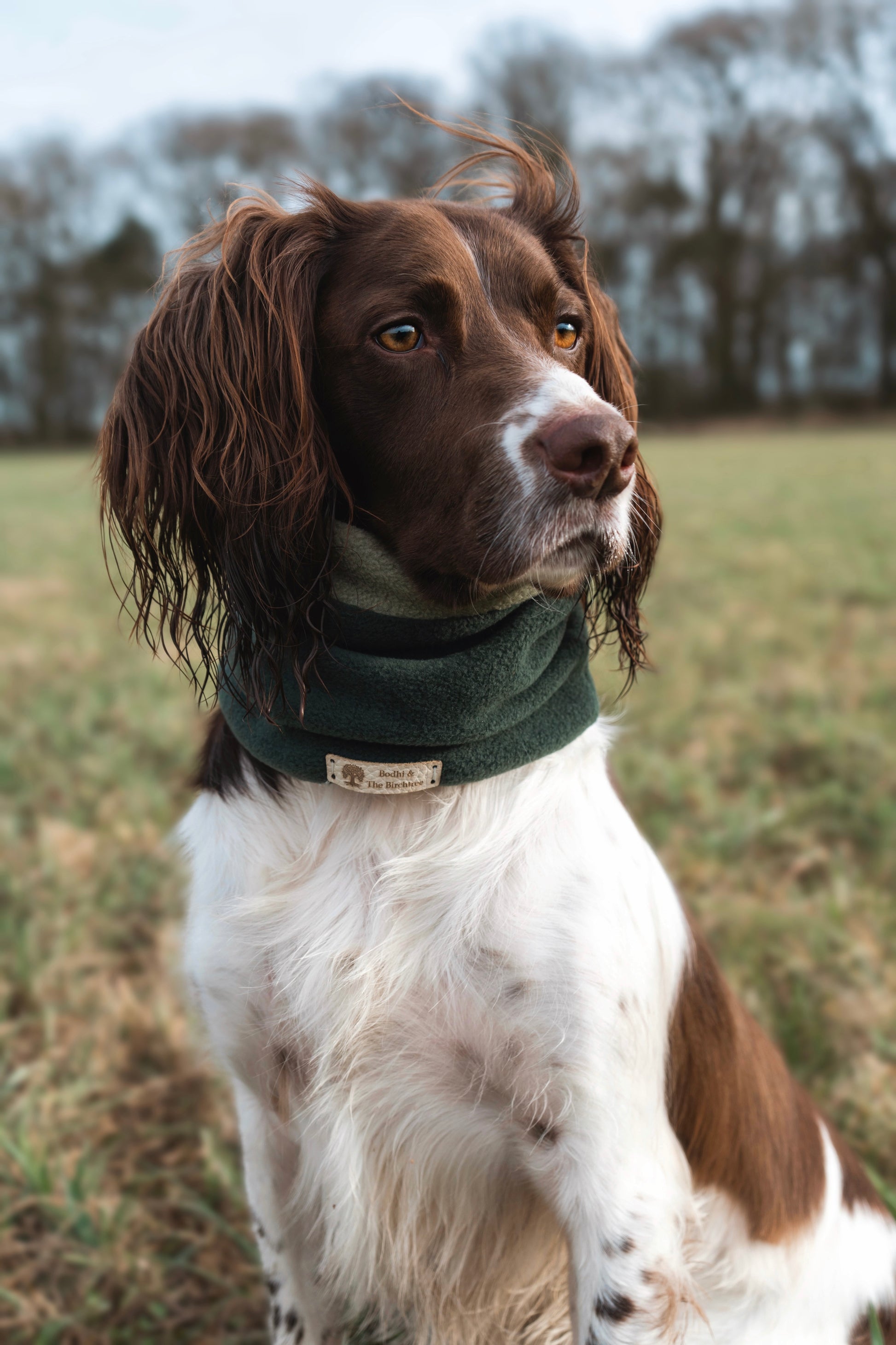 Limited Edition ‘The Jinky’ Dark Bottle & Avocado Polar Fleece Snood - Bodhi & The Birchtree