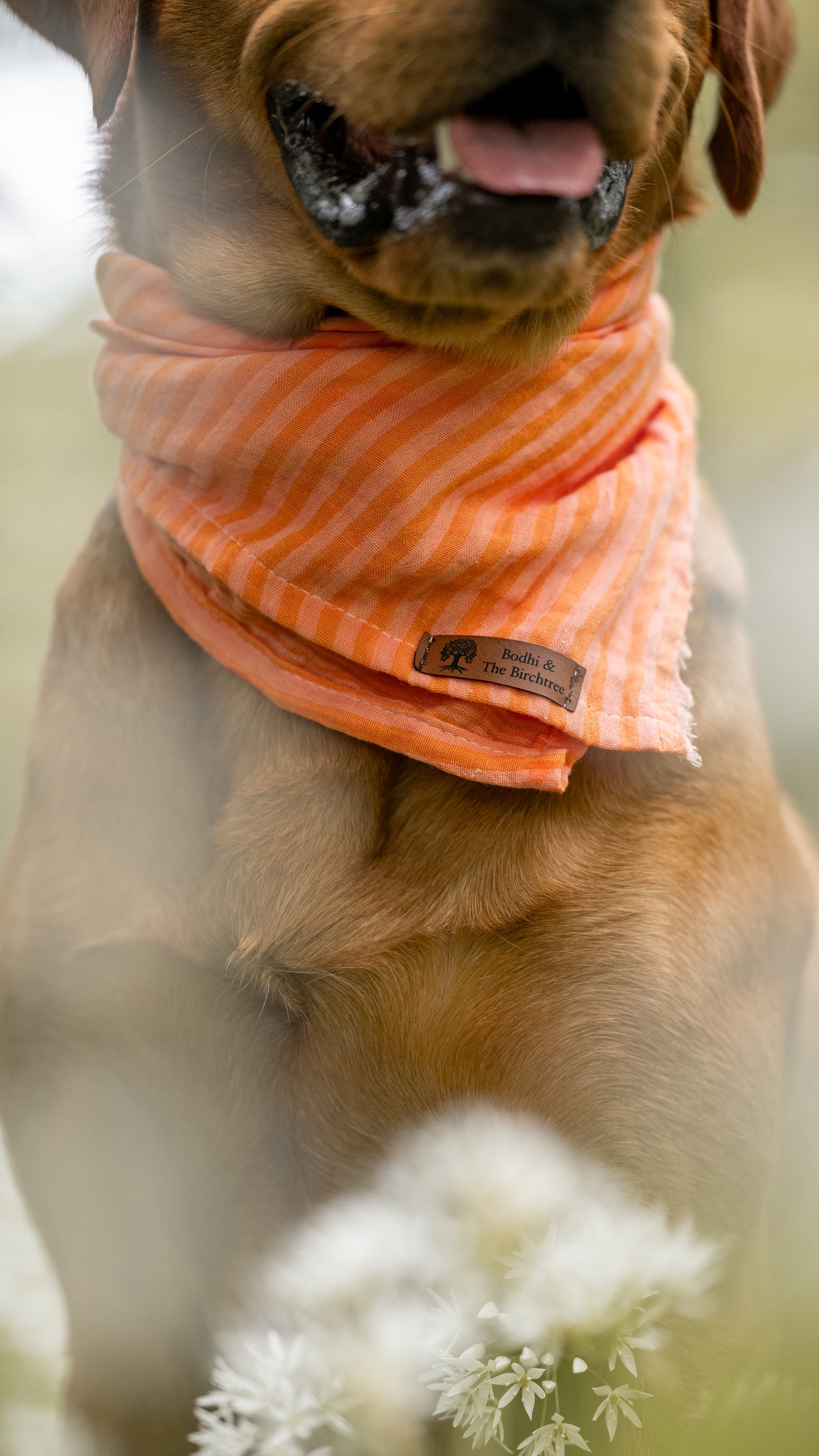 Peach Stripe Summer Cooling Bandana - Bodhi & The Birchtree