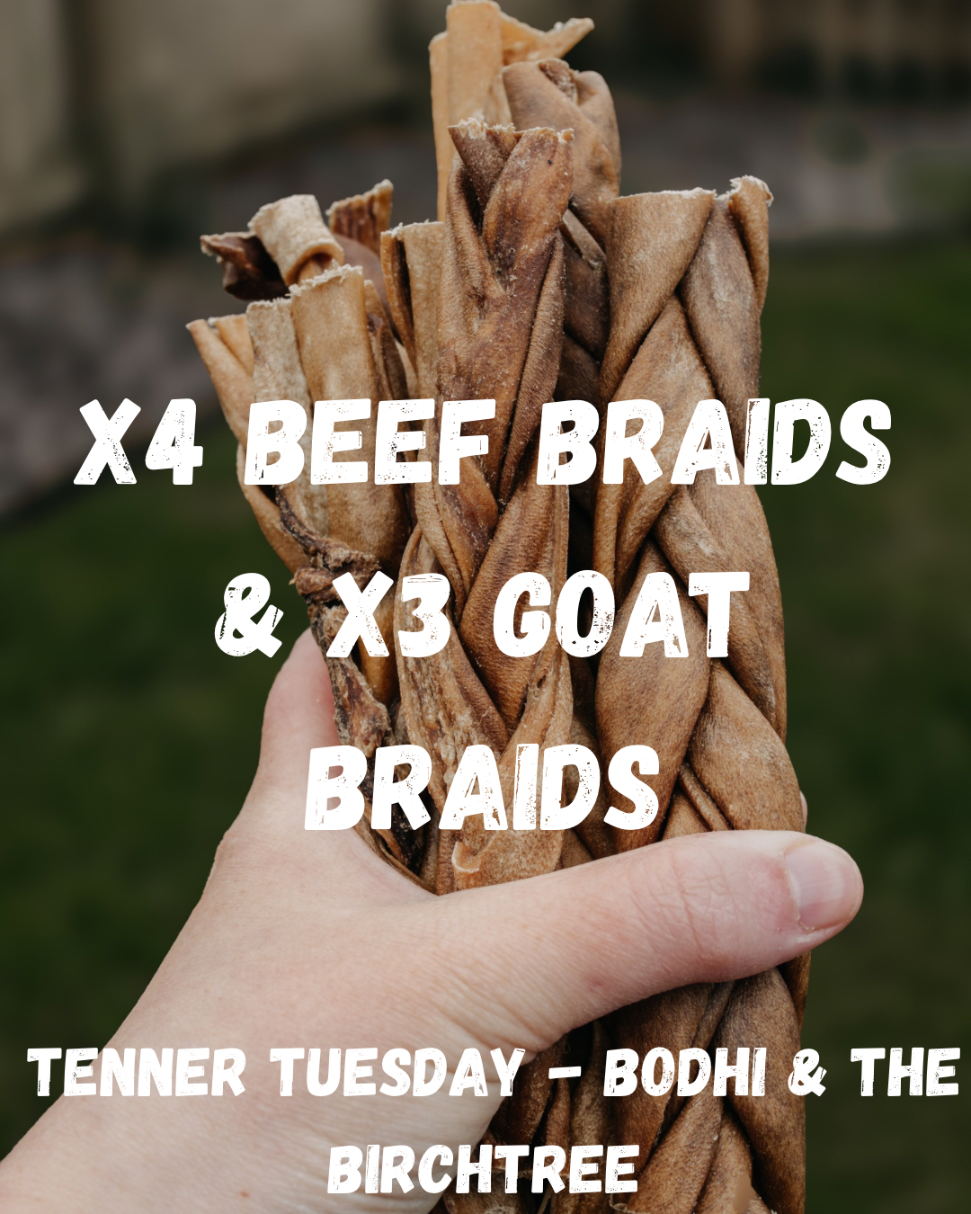 X4 Beef Braids & X3 Goat Braids - Tenner Tuesday - Bodhi & The Birchtree