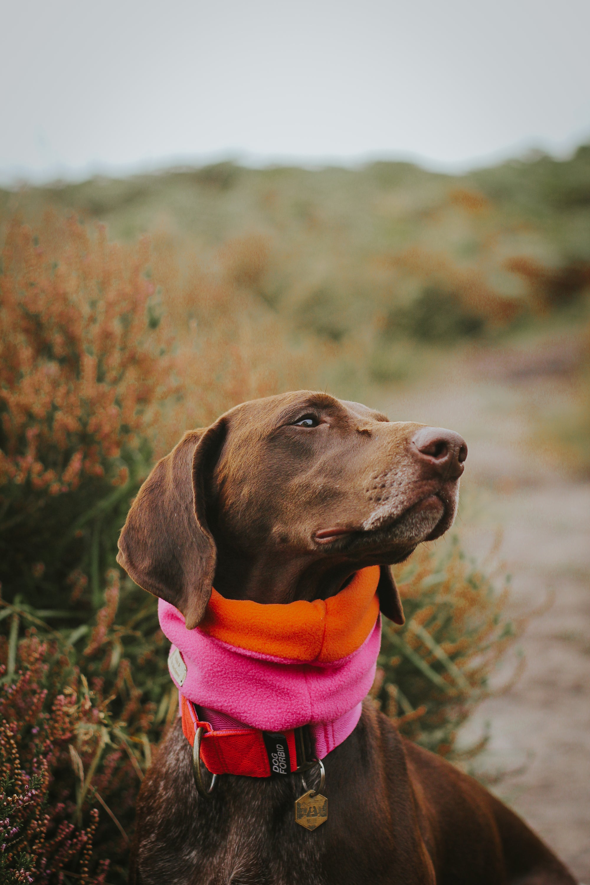 Bodhi & The Birchtree ‘The Nellie’ Pink & Orange Polar Fleece Snood - Bodhi & The Birchtree