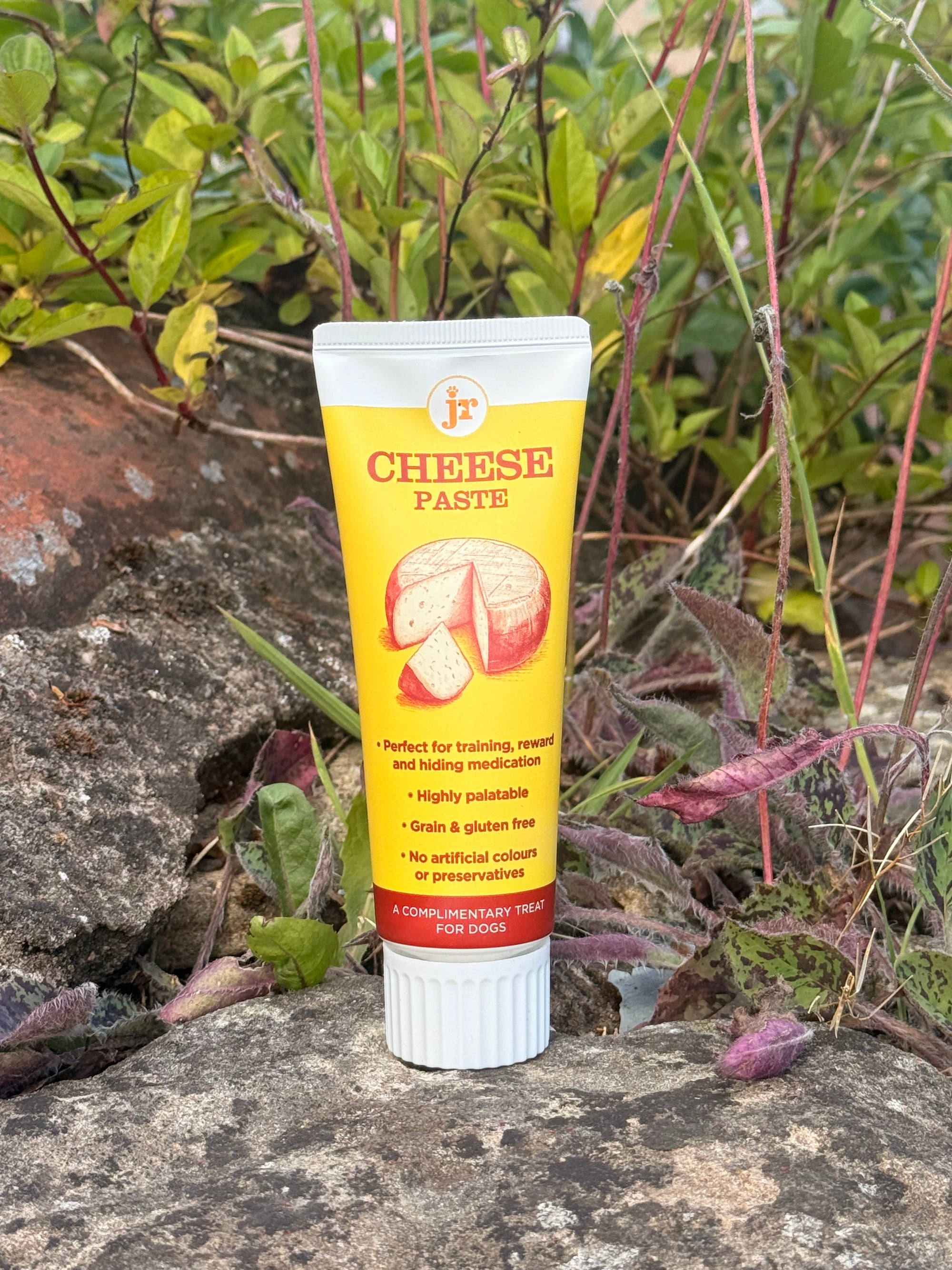 JR Cheese Paste