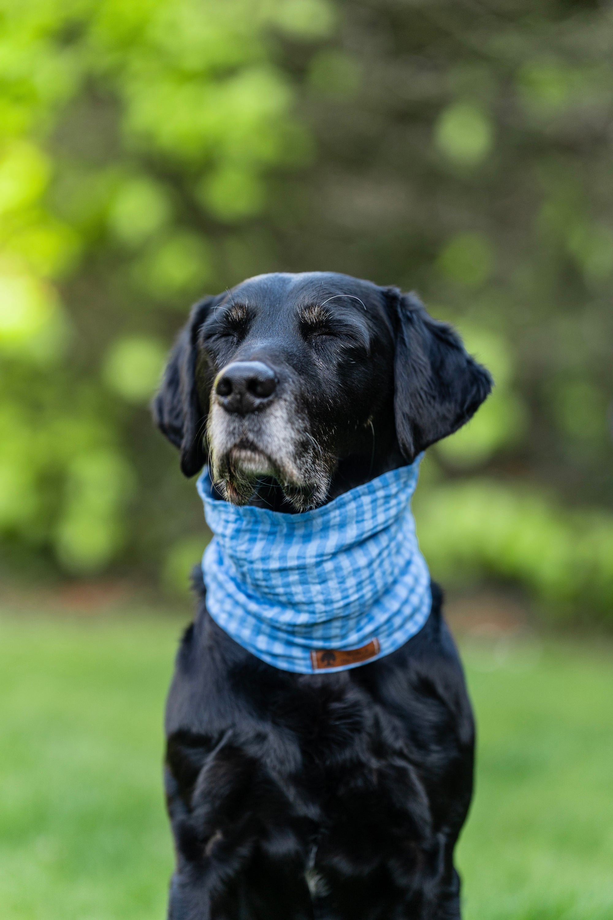 Blue Sky Summer Cooling Snood - Bodhi & The Birchtree