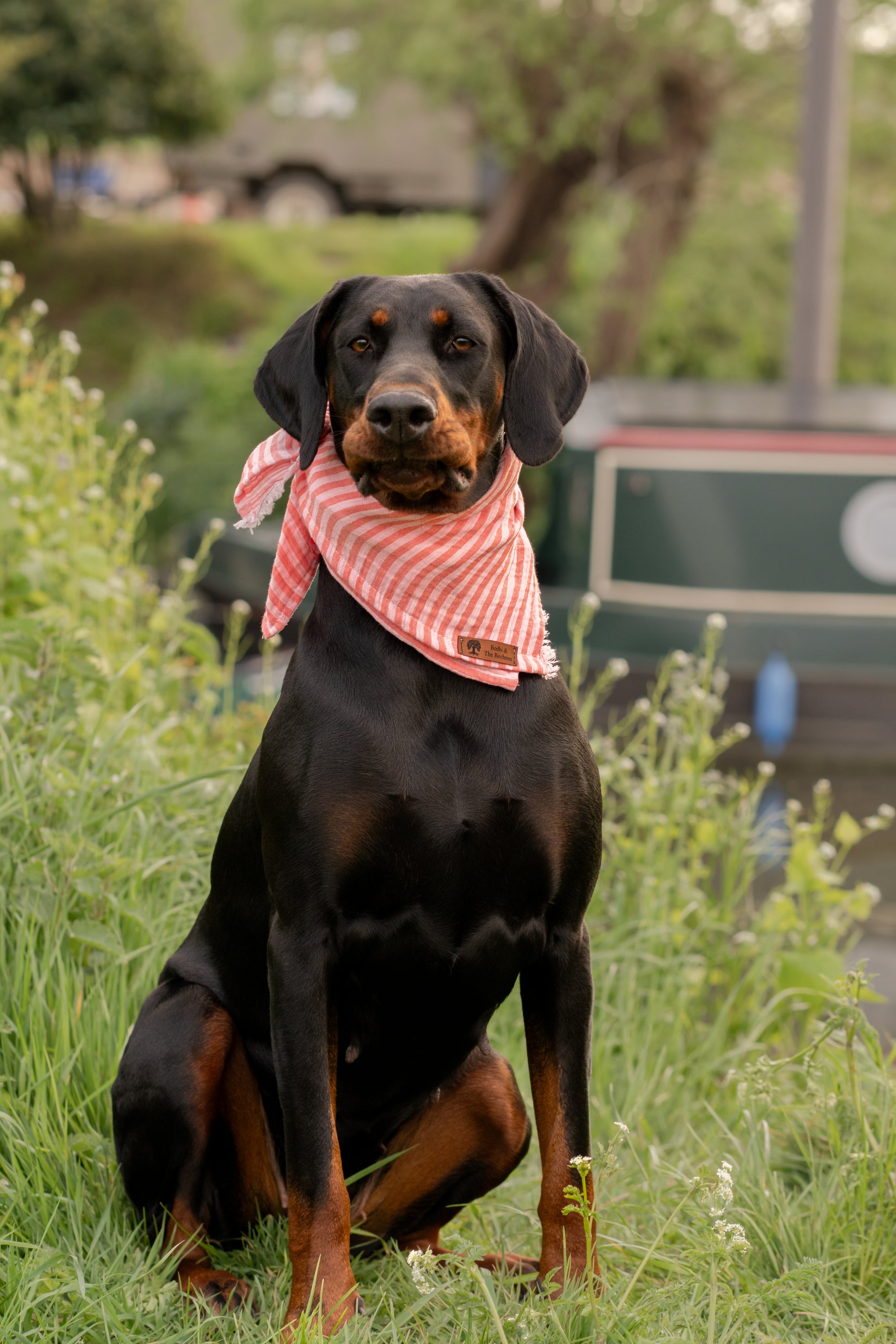 Pink Stripe Summer Cooling Bandana - Bodhi & The Birchtree
